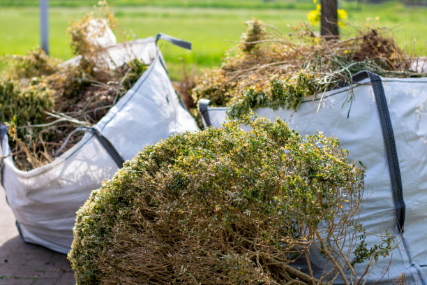 Best Basement Cleanout Services  in East Dennis, MA